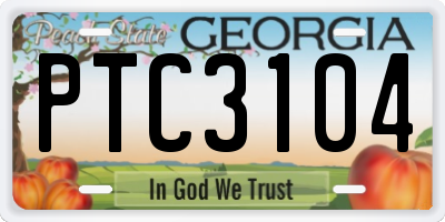 GA license plate PTC3104