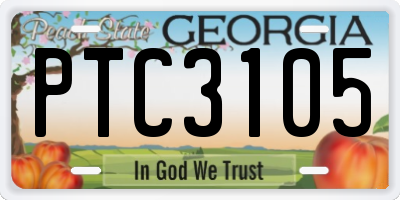 GA license plate PTC3105