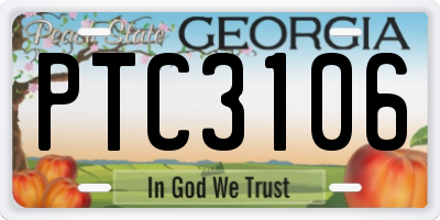 GA license plate PTC3106