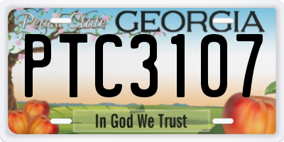GA license plate PTC3107