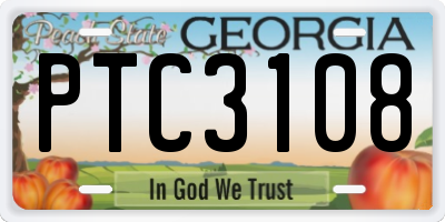GA license plate PTC3108