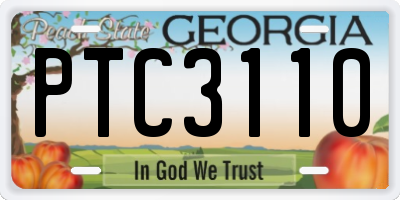 GA license plate PTC3110