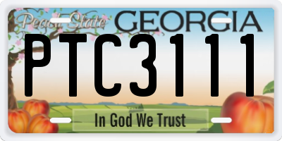 GA license plate PTC3111