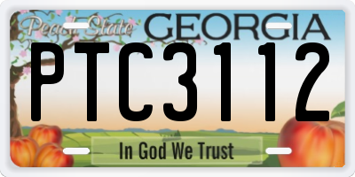 GA license plate PTC3112