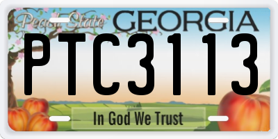 GA license plate PTC3113