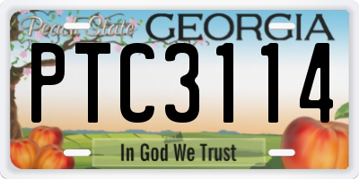 GA license plate PTC3114