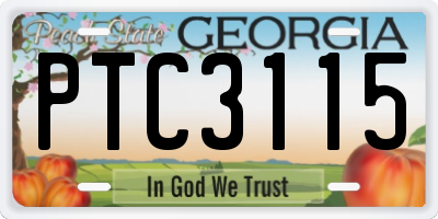 GA license plate PTC3115