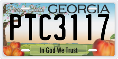 GA license plate PTC3117