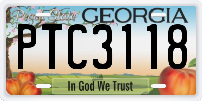 GA license plate PTC3118