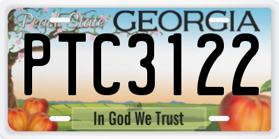 GA license plate PTC3122