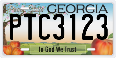 GA license plate PTC3123