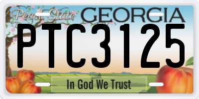 GA license plate PTC3125