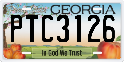 GA license plate PTC3126