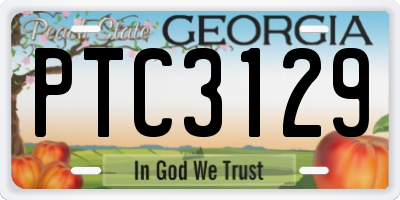 GA license plate PTC3129