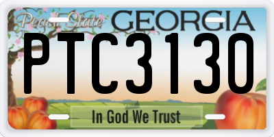 GA license plate PTC3130