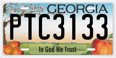 GA license plate PTC3133