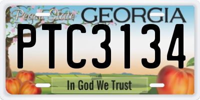 GA license plate PTC3134