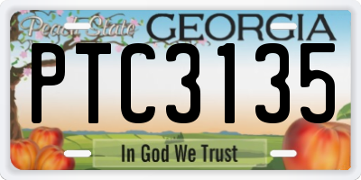 GA license plate PTC3135