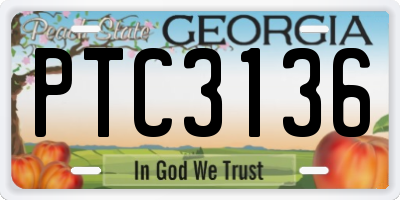 GA license plate PTC3136