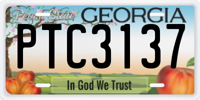 GA license plate PTC3137