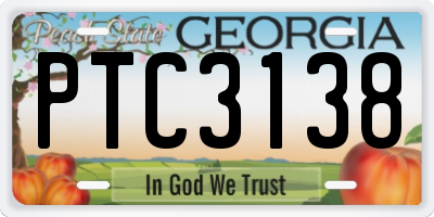 GA license plate PTC3138