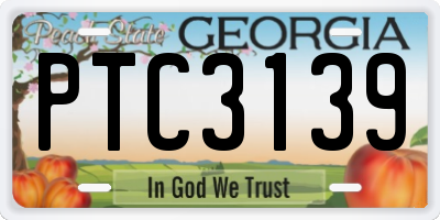 GA license plate PTC3139