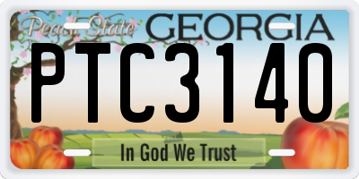 GA license plate PTC3140
