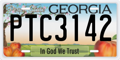 GA license plate PTC3142