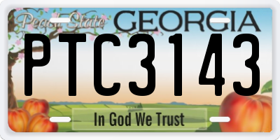 GA license plate PTC3143