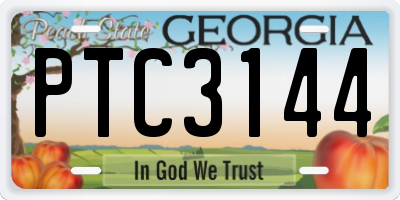GA license plate PTC3144