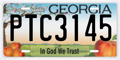 GA license plate PTC3145