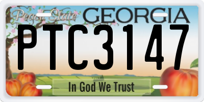 GA license plate PTC3147