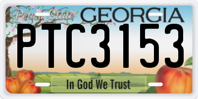GA license plate PTC3153