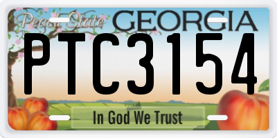 GA license plate PTC3154