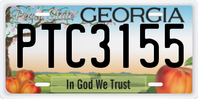 GA license plate PTC3155