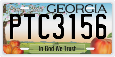 GA license plate PTC3156