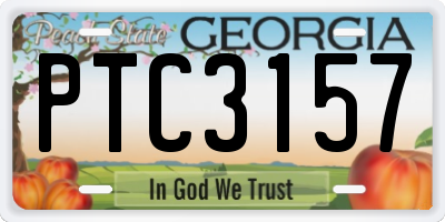GA license plate PTC3157