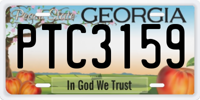GA license plate PTC3159