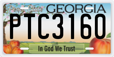 GA license plate PTC3160