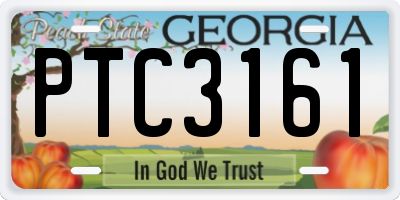 GA license plate PTC3161