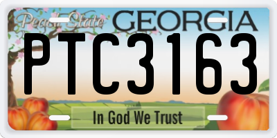 GA license plate PTC3163