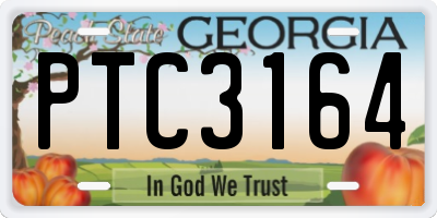 GA license plate PTC3164