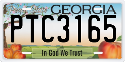 GA license plate PTC3165