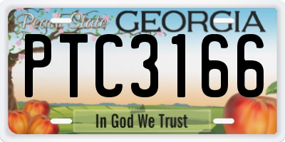 GA license plate PTC3166