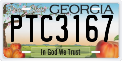GA license plate PTC3167