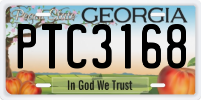 GA license plate PTC3168