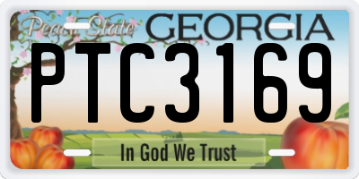GA license plate PTC3169