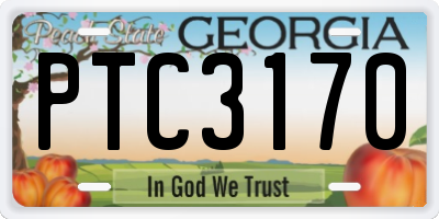 GA license plate PTC3170