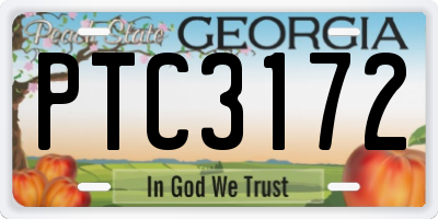 GA license plate PTC3172