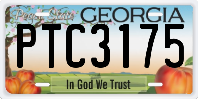GA license plate PTC3175